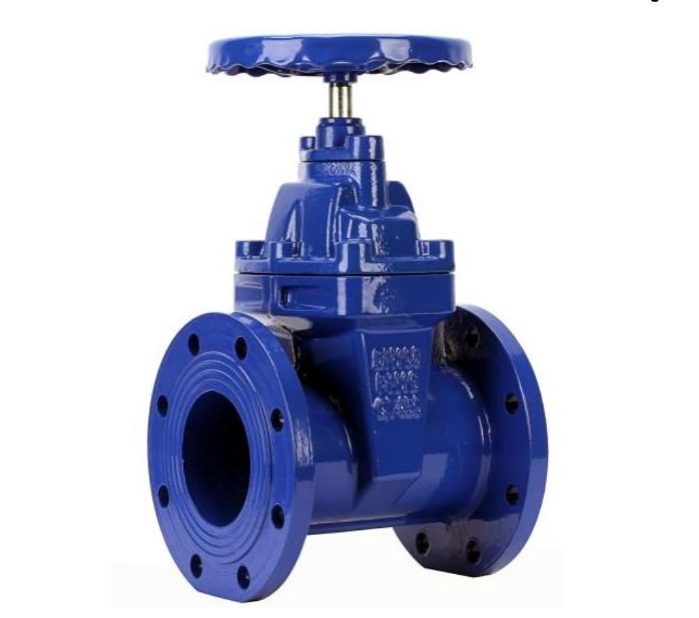 gate valve chennai