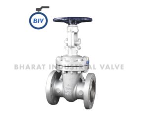 Globe Valve - Globe valves use a movable disc/plug against a stationary seat, positioned in-line with the flow path. | Bharat Industrial Valve