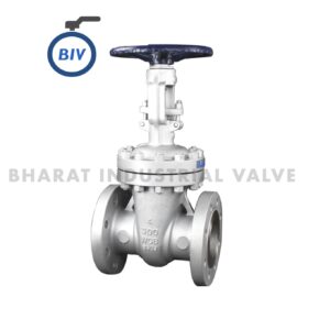 Globe Valve - Globe valves use a movable disc/plug against a stationary seat, positioned in-line with the flow path. | Bharat Industrial Valve