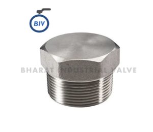 Hexagonal Plug - Hexagonal (hex) plugs thread into an unused port or opening to seal it off, with a hex head allowing torque... | Bharat Industrial Valve