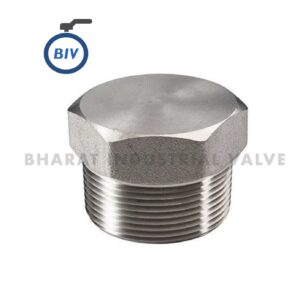 Hexagonal Plug - Hexagonal (hex) plugs thread into an unused port or opening to seal it off, with a hex head allowing torque... | Bharat Industrial Valve